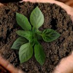 Brasil, Colombia y México lideran en finanzas sostenibles en la región